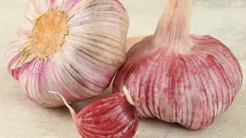 Wer sollte keinen Knoblauch essen? Es ist wichtig!